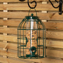 Wild Bird Hanging Nut Feeder with Squirrel Guard