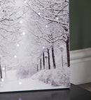 40 x 30cm Battery Operated Light up Fibre Optic Winter Avenue Christmas Wall Canvas