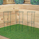 Tom Chambers Urban Green Conical Garden Plant Support Ring 20cm- Small