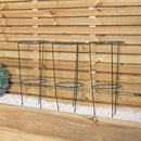 Tom Chambers Urban Green Conical Garden Plant Support Ring 20cm- Small