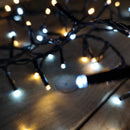 25m 1000 LED TreeBrights Christmas String Lights with Timer in Cool White & Warm White