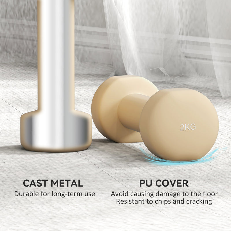 HOMCOM 10kg Dumbbell Weights Set with Carry Case, Pink, Purple, Grey, Brown