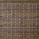 1.2m x 1.2m Light up FlexiBrights Christmas Tree Curtain Lights with 108 Rainbow LEDs