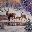 40cm Battery Operated Light up Family of Deers Christmas Canvas with LEDs
