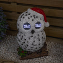 25cm Battery Operated Outdoor Blinkin' Snowy Christmas Owl with White LEDs & Timer Function