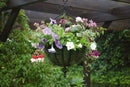 35cm Large Black Metal Spanish Garden Wall Hanging Basket