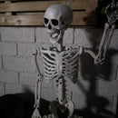90cm (3ft) Posable Full Body Halloween Skeleton Decoration With Movable Joints