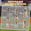 PawHut Dog Agility Equipment Set, 3 PCS Adjustable Height Jumping Obstacles