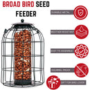 Wild Bird Hanging Nut Feeder with Squirrel Guard