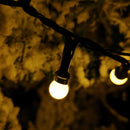 3.75m Frosted Berry Christmas Lights with 150 LEDs in Warm White