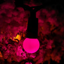 10m 100 LED Pearl Berry Rainbow String Lights Garden Christmas Lights with Timer