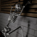 90cm (3ft) Posable Full Body Halloween Skeleton Decoration With Movable Joints