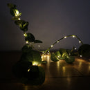 50 LED 2.5m Premier MicroBrights Indoor Outdoor Christmas Multi Function Battery Operated Lights with Timer on Pin Wire in Warm White