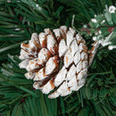 7ft (2.1m) Tall Rocky Mountain Pine Christmas Tree with 1208 Snow Tipped Branches & Pinecones