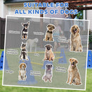 PawHut Dog Agility Equipment Set, Three-Piece Adjustable Height Jumping