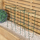 Tom Chambers Urban Green Conical Garden Plant Support Ring 20cm- Small