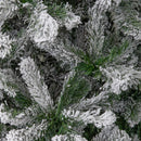 7ft (2.1m) Snowy Imperial Pine Green Fir Christmas Tree with Metal Stand