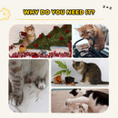 PawHut 63cm Cat Scratching Post, Scratcher w/ Replaceable Scratching Board