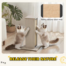 PawHut 63cm Cat Scratching Post, Scratcher w/ Replaceable Scratching Board