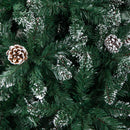 5ft (1.5m) Tall Rocky Mountain Pine Christmas Tree with 526 Snow Tipped Branches & Pinecones