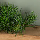 90cm Green Artificial Kateson Fir Christmas Swag with 108 Tips