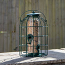 Samuel Alexander Metal Hanging Bird Seed Feeder with Squirrel Guard