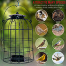 Wild Bird Fat Ball Feeder with Squirrel Guard