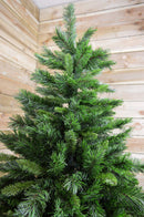 6ft (1.8m) Luxury Kateson Fir Artificial Green Christmas Tree with 816 Tips