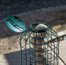 Samuel Alexander Metal Hanging Bird Fat Ball Feeder with Squirrel Guard & Pack of 6 Suet Fat Balls
