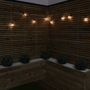 4.5m Set Of 10 Connectable Festoon Bulb Lights In Warm White With Timer Function