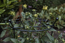 Tom Chambers Cottage Heavy Duty Black Metal Steel Herbaceous Garden Plant Support Grow Through Small 60cm X 35cm