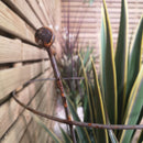 Pack of 4 Tom Chambers Herbaceous Bare Rusted Steel Garden Plant Support Medium 54cm x 40cm