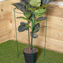 Tom Chambers Urban Metal Herbaceous Garden Plant Support Ring Large 40cm x 60cm