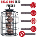 Wild Bird Fat Ball Feeder with Squirrel Guard