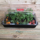 38cm Unheated Grostart Midi Propagator Seed Starter Tray