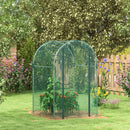 Outsunny Fruit Cage, Plant Protection Tent, Green