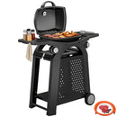 Outsunny 2 Burner Gas Grill, 3.8 KW Barbecue Grill With Cast Iron Grates