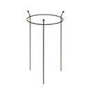 Small 60cm x 35cm Heavy Duty Black Steel Herbaceous Garden Plant Support Ring