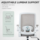 HOMCOM Mesh Desk Chair With Tilt Function, Lumbar Support