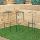 Tom Chambers Urban Green Conical Garden Plant Support Ring 20cm- Small