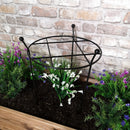 Tom Chambers Cottage Heavy Duty Black Metal Steel Herbaceous Garden Plant Support Grow Through Small 60cm X 35cm