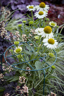Tom Chambers Urban Dark Green Metal Herbaceous Garden Plant Support Grow Through Medium 50cm X 30cm