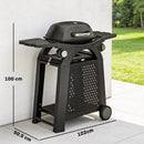 Outsunny 2 Burner Gas Grill, 3.8 KW Barbecue Grill With Cast Iron Grates