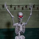 5ft (1.5m) Full Body Halloween Standing Skeleton With Posable Joints & Red LED Eyes