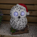 25cm Battery Operated Outdoor Blinkin' Snowy Christmas Owl with White LEDs & Timer Function
