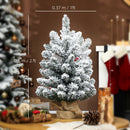 HOMCOM 60 cm Prelit Small Christmas Tree, Snow Flocked Tabletop Xmas Tree