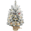 HOMCOM 60 cm Prelit Small Christmas Tree, Snow Flocked Tabletop Xmas Tree