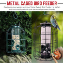 Wild Bird Hanging Nut Feeder with Squirrel Guard