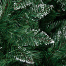 7ft (2.1m) Tall Rocky Mountain Pine Christmas Tree with 1208 Snow Tipped Branches & Pinecones