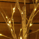 1.2m (4ft) Indoor Outdoor Christmas Lit Birch Tree with 48 Warm White LEDs